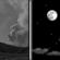 Tonight: Patchy smoke before 9pm. Mostly clear, with a low around 54. North wind 0 to 7 mph. Tonight: Patchy Smoke then Mostly Clear